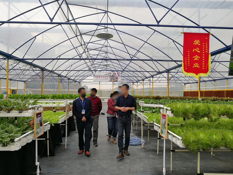 广州生�y态智能温室农场环境空间通风降温案例