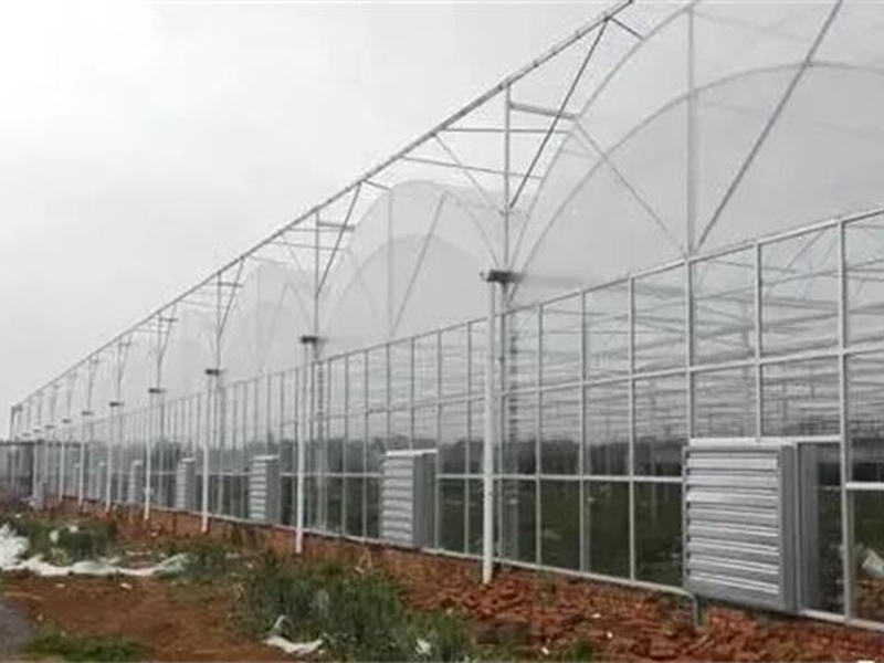 湖南蔬菜种植基地环境空间通风降�温案例